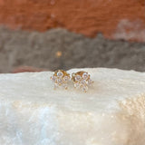 Andi Alyse Yelllow Gold and Diamond Flower Stud Earrings