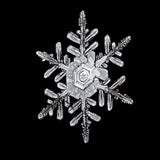 "Rabbit Ears Snowflake"