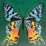 "Kaleidoscope 19"