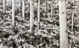 "Monochromatic Forrest"