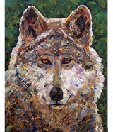 "What Are You Lookin' At?