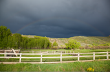 "Under the Rainbow"