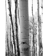 "Love Tree"