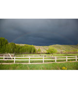 "Under the Rainbow"