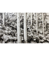 "Forrest in Monochrome"