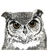 "Owl"