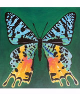 "Kaleidoscope 19"