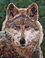 "What Are You Lookin' At?